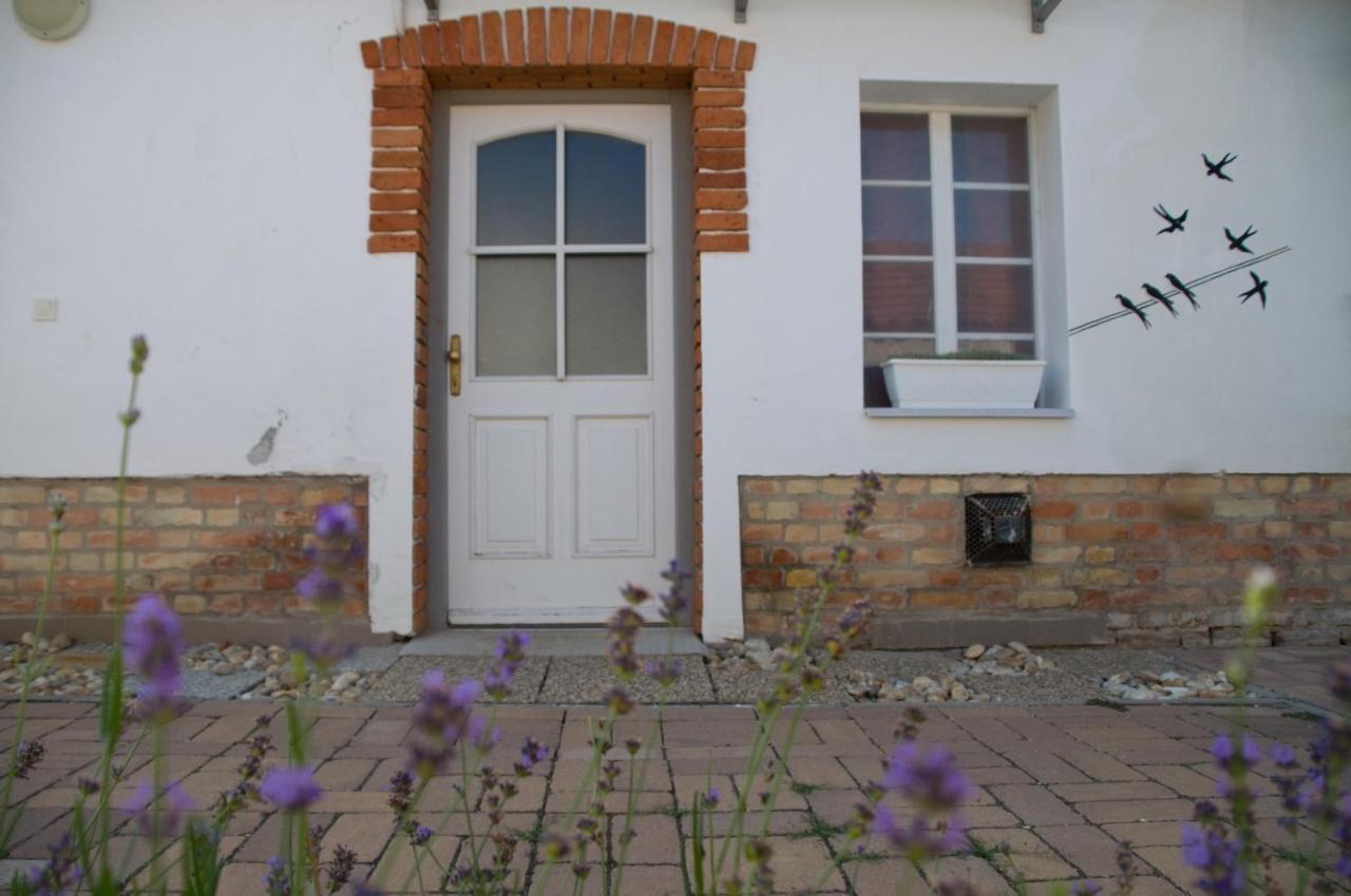 Notas Tuecsoek Vendeghaz Apartment Agyagosszergeny Luaran gambar